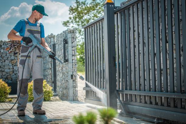 Best Building Exterior Washing  in La Marque, TX