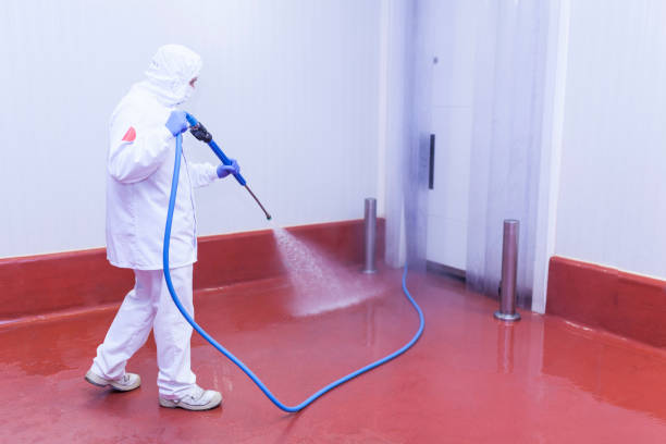 Best Spring Cleaning  in La Marque, TX